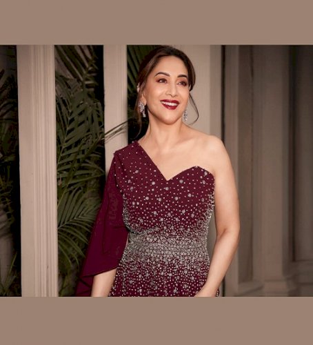 When Aamir Khan complimented Madhuri Dixit's beauty, called her 'easy to work with'