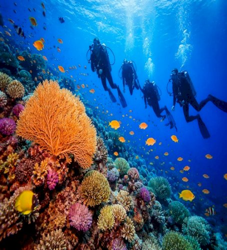 Best Scuba Diving Spots in Asia