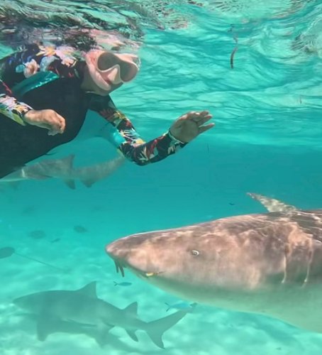 Hina Khan swims with sharks in the Maldivian sea