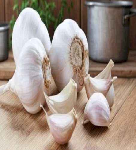 Garlic: Not Just Flavorful but Excellent for Health – Ayurvedic Benefits You Should Know