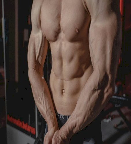Muscle Building Guide: A Complete Beginner-to-Advanced Blueprint